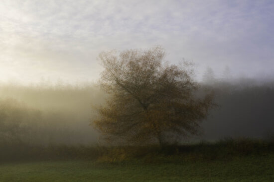 Impression d'automne